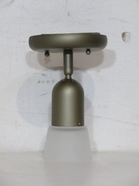 Brushed Steel Single Light Fixture