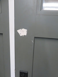 36"W Pre-Hung Door with Side Lite in Olive Gray Vinyl