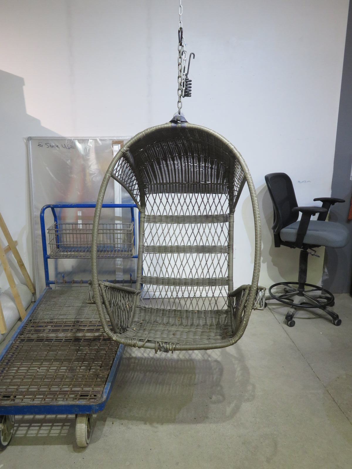 Hanging Egg Chair