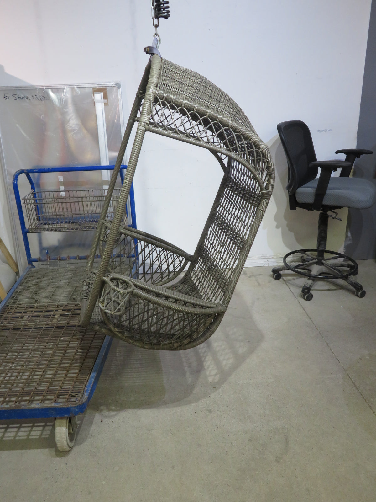 Hanging Egg Chair