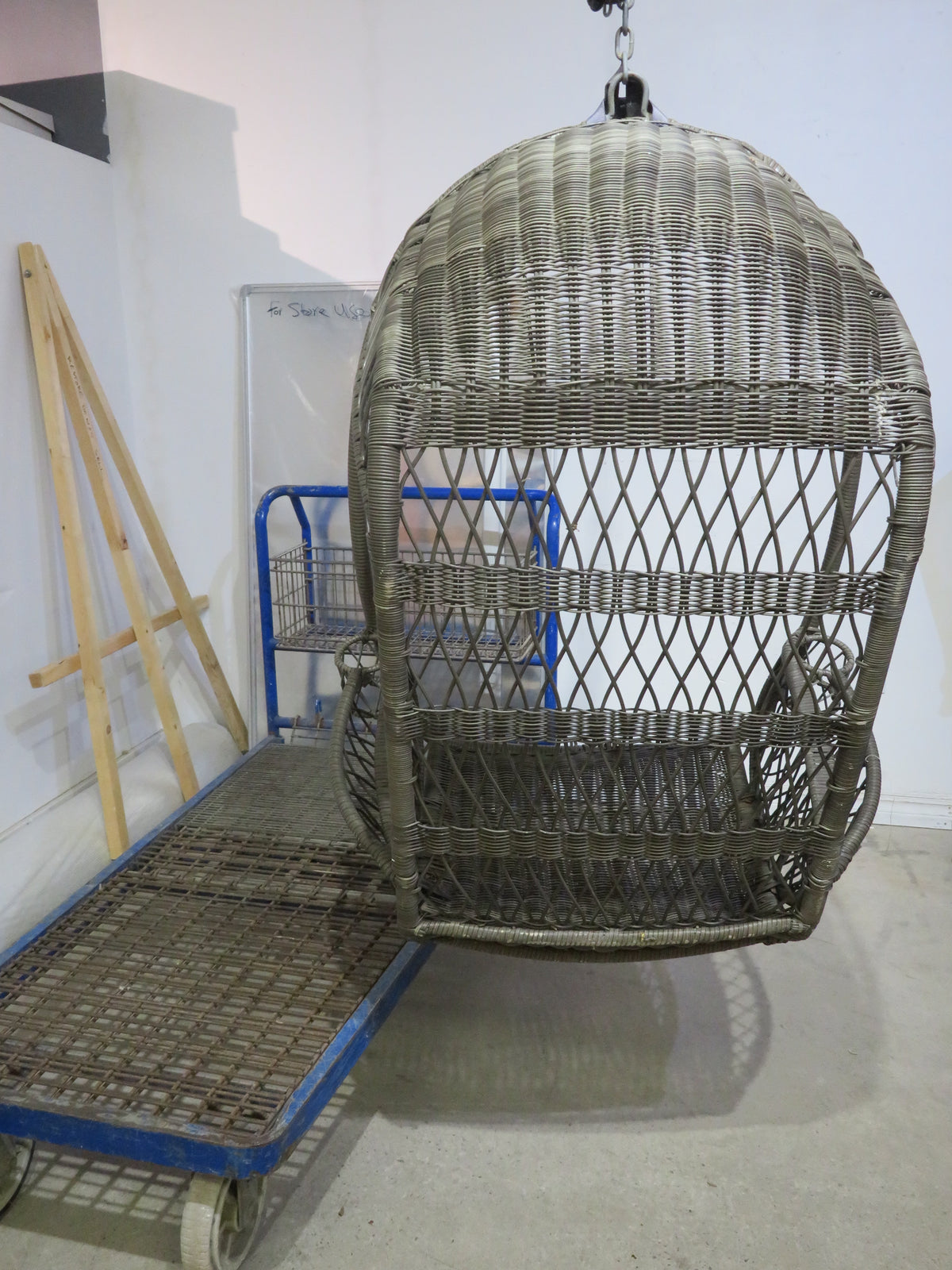 Hanging Egg Chair