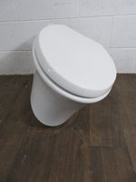 Kohler Wall Mount Elongated Bowl Toilet