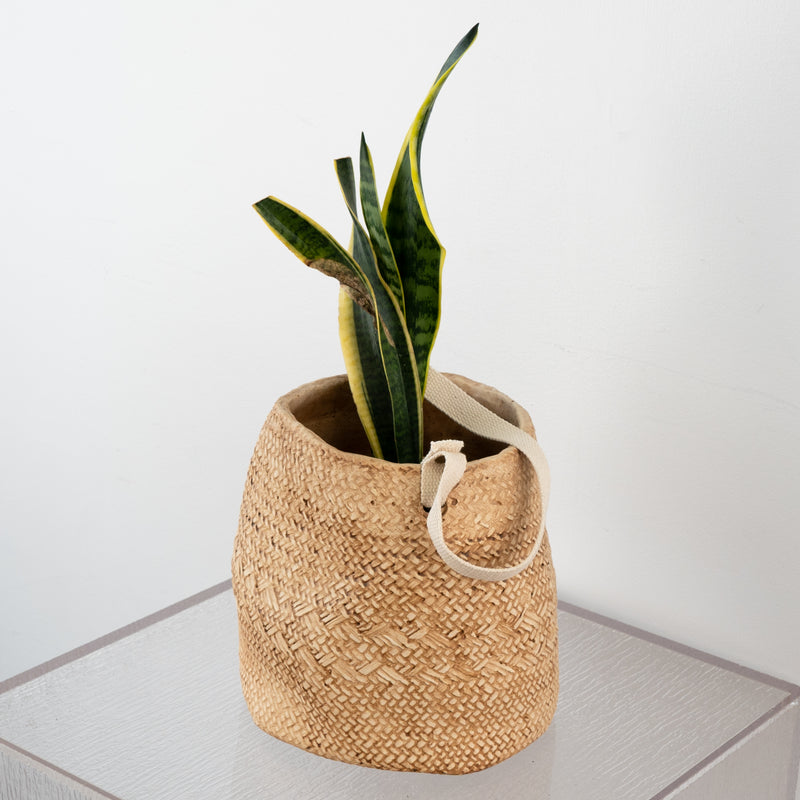 Large Hanging Basket Weaved Cement Pot With Cotton Handle