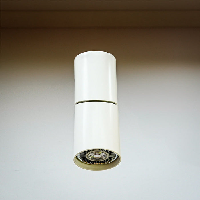 5 x 14-Inch White A-Tube Surface-Mounted Ceiling Light