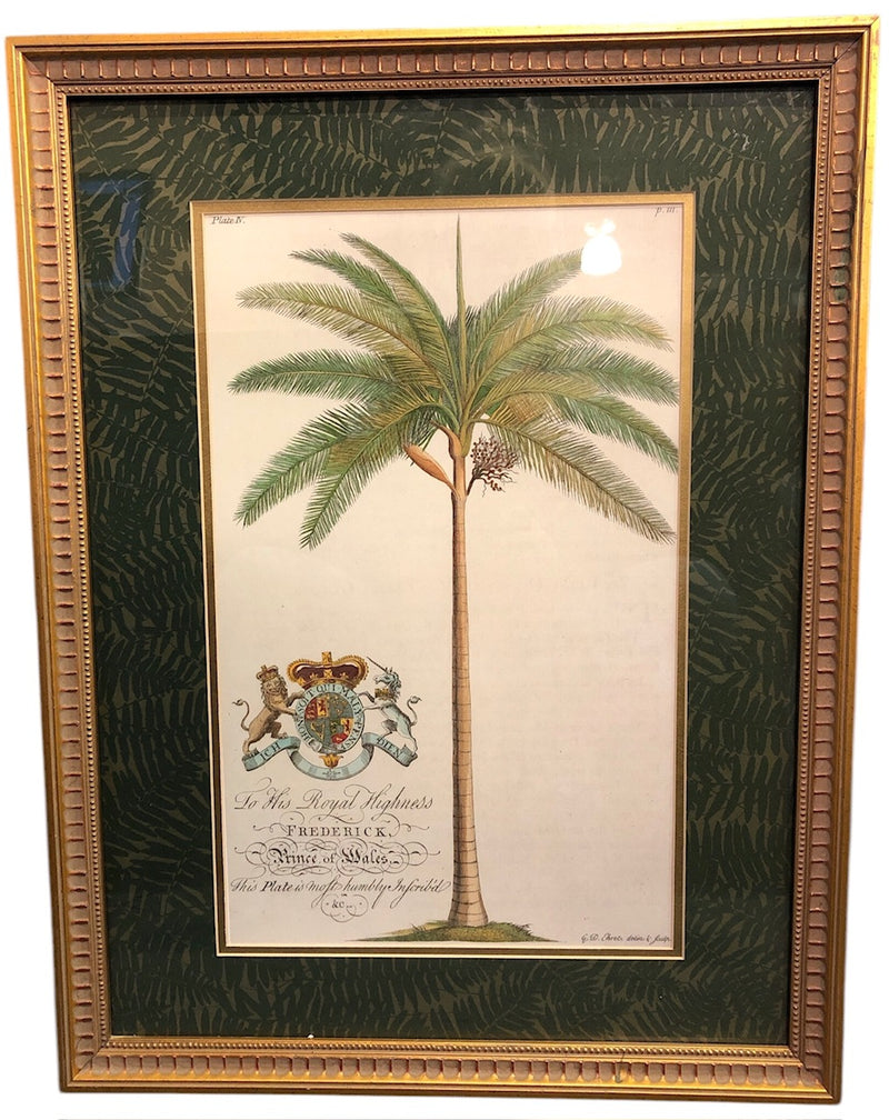 Print of Palm Tree Plate 4