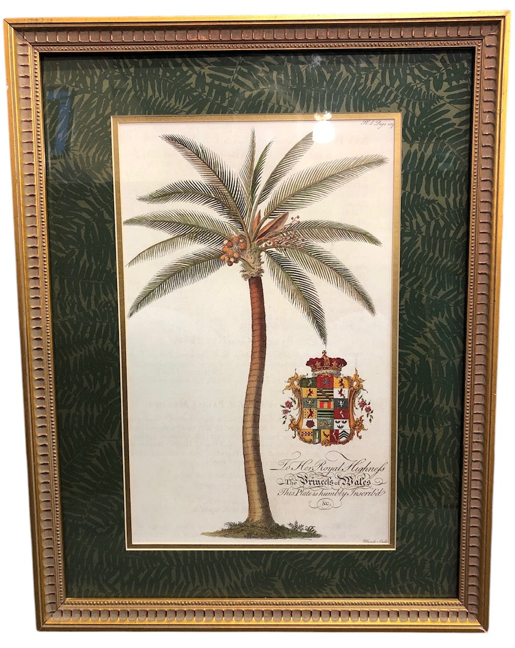 Print of Palm Tree Plate 3