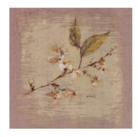 Apple Blossom Square By Cheri Blum Framed Artwork