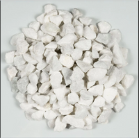 Quantum White Marble Chips Decorative Pebbles (5lbs)