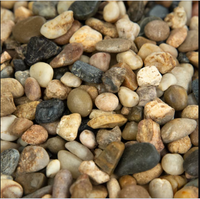 Quantum Mixed Mini Decorative Pebbles (5lbs)