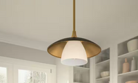 Fayette 1-Light Earth Black Mini Pendant