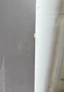 32" x 80" Riverside Door