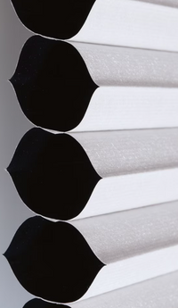 23-inch W x 48-inch L, Blackout Cordless Cellular Shade in Shadow White