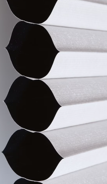 23-inch W x 48-inch L, Blackout Cordless Cellular Shade in Shadow White