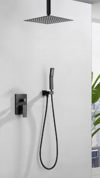 Fixed Ceiling Mounted Single-Handle 1-Spray Shower Faucet in in Matte Black