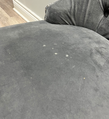 Light Grey Button- Tuffed Dining Chair