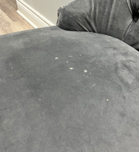 Light Grey Button- Tuffed Dining Chair