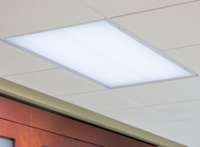 Genesis 2x4 Shatterproof Genesis Light Lens Panel, Opal, case of 10