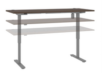 30” x 72” Standing Desk