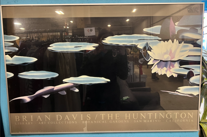 Brian Davis Water Lilies II Art Work