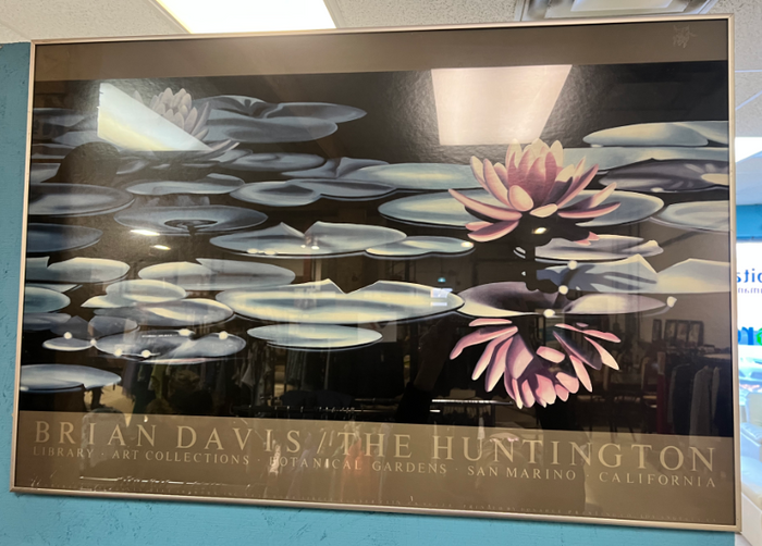 Brian Davis Water Lilies I Art Work