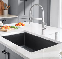 Glacier Bay Single Bowl Dualmount Kitchen Sink, Black