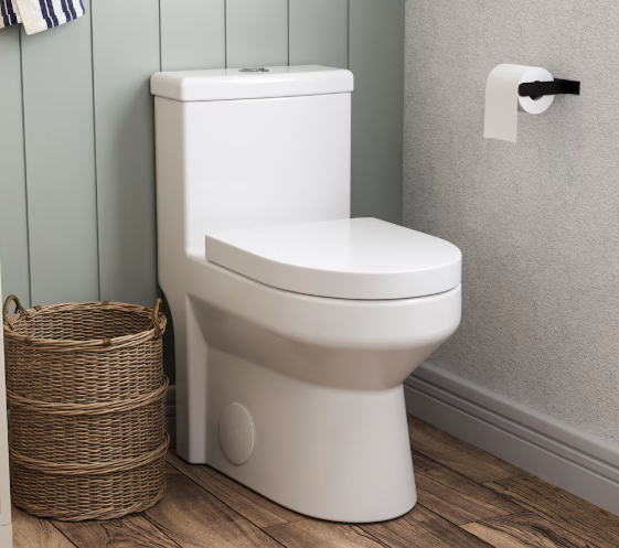 DeerValley 12 in. 1-Piece Dual Flush Round Toilet in White