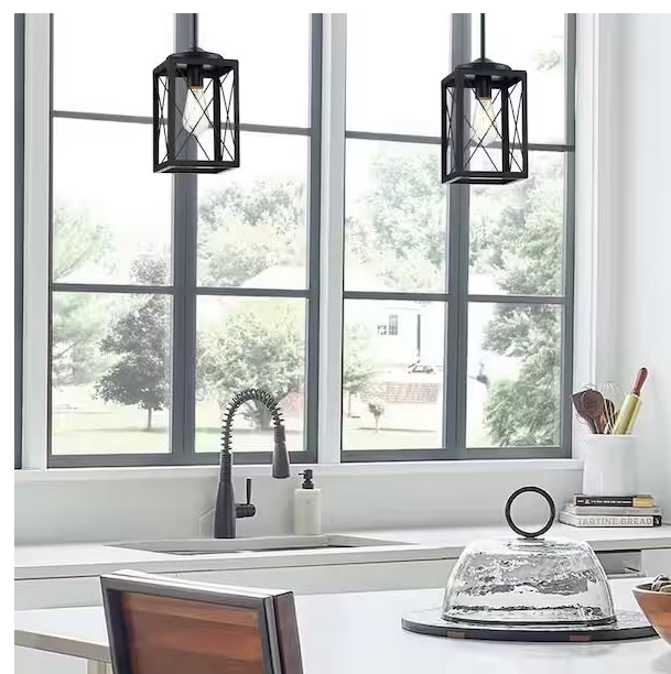 1-Light Cage Mini Pendant Light in Matte Black