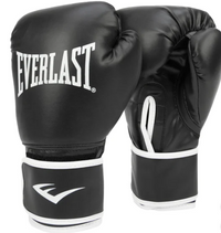 Everlast Heavy Bag and Gloves