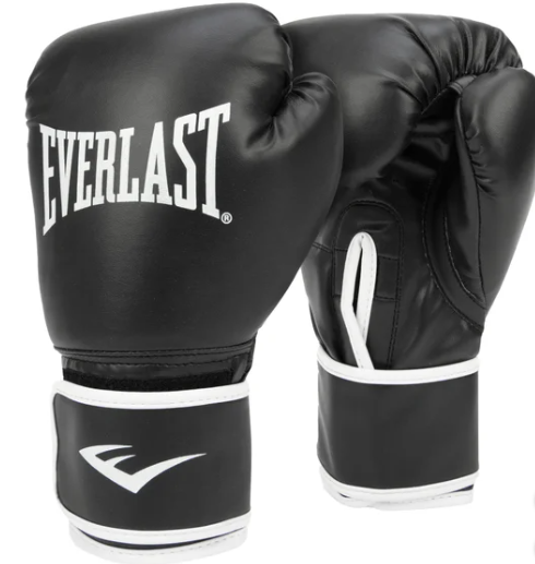 Everlast Heavy Bag and Gloves