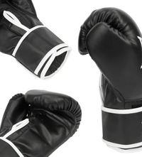 Everlast Heavy Bag and Gloves