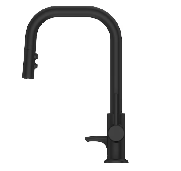 Pfister Zanna Matte Black Faucet