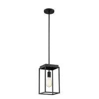 Home Decorators Rollins 1-Light Mini Pendant in Black