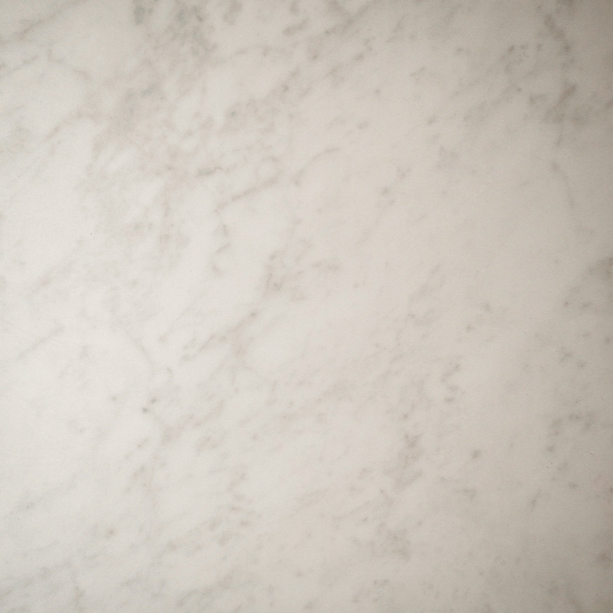 12" x 24" Eterna Carrara White Matte Tile – 15.50 sq. ft. (8 per box)