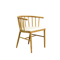 Dante 21.5-Inch W Wood Accent Chair with Cushioned Seat, DC T18