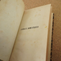 Animaux Domestiques, Zootechnie Générale 1873