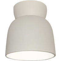 Radiance 1-Light Flush Mount Ceiling Light