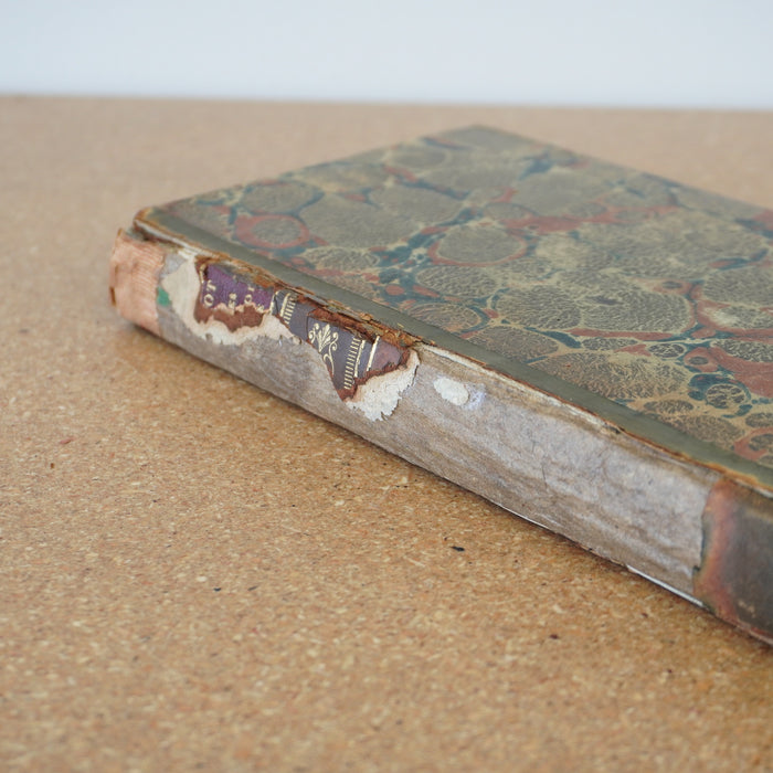 Collection des Mémoires Relatifs A l'Histoire de France by Francois Guizot 1825