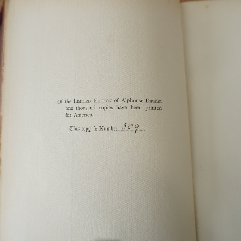 Daudet's Works Vol. 4 Limited Edition #509/1000 - Fromont and Risler II 1899