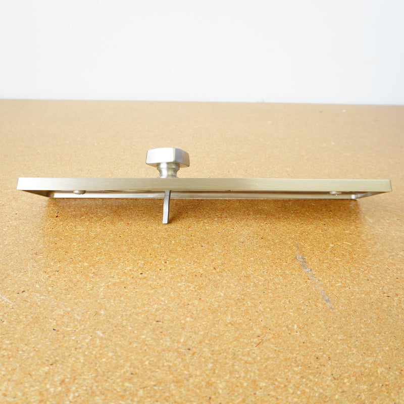 Door Faceplate with handle in Satin Nickel 85255EM