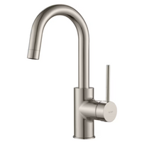 Stainless Steel Single-Handle Kitchen Faucet