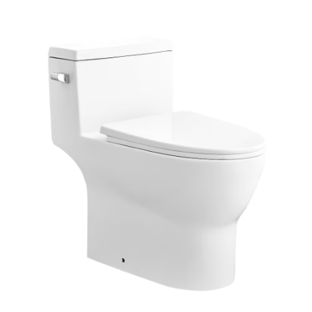 DeerValley 12 in. Rough In 1-Piece 1.28 GPF Single Flush 17 in. ADA Chair Height Elongated Toilet in White with Soft Close Seat