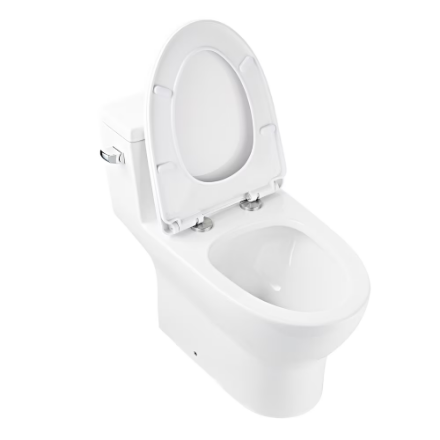 DeerValley 12 in. Rough In 1-Piece 1.28 GPF Single Flush 17 in. ADA Chair Height Elongated Toilet in White with Soft Close Seat