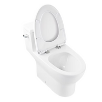 DeerValley 12 in. Rough In 1-Piece 1.28 GPF Single Flush 17 in. ADA Chair Height Elongated Toilet in White with Soft Close Seat