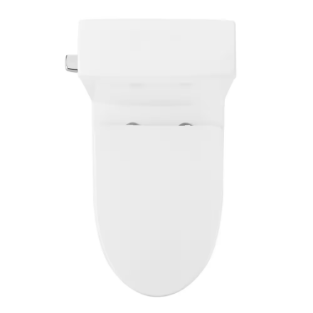 DeerValley 12 in. Rough In 1-Piece 1.28 GPF Single Flush 17 in. ADA Chair Height Elongated Toilet in White with Soft Close Seat