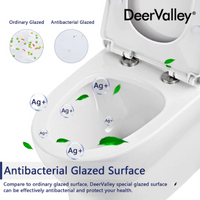 DeerValley 12 in. Rough In 1-Piece 1.28 GPF Single Flush 17 in. ADA Chair Height Elongated Toilet in White with Soft Close Seat