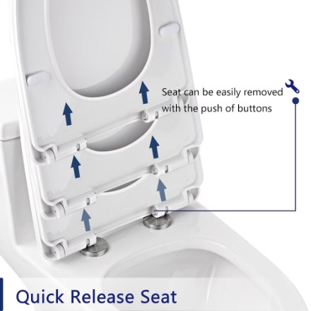 DeerValley 12 in. Rough In 1-Piece 1.28 GPF Single Flush 17 in. ADA Chair Height Elongated Toilet in White with Soft Close Seat