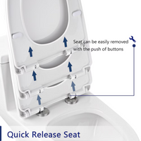 DeerValley 12 in. Rough In 1-Piece 1.28 GPF Single Flush 17 in. ADA Chair Height Elongated Toilet in White with Soft Close Seat