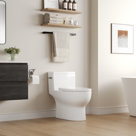 DeerValley 12 in. Rough In 1-Piece 1.28 GPF Single Flush 17 in. ADA Chair Height Elongated Toilet in White with Soft Close Seat