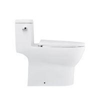 DeerValley 12 in. Rough In 1-Piece 1.28 GPF Single Flush 17 in. ADA Chair Height Elongated Toilet in White with Soft Close Seat