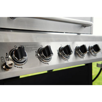 5-Burner Stainless Steel Propane Gas Grill